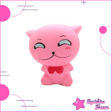 Squishy chaton timide - Animaux - Squishies France