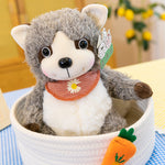 squishise-france plushie raccoon plush stuffed animals